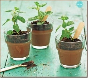 Frugal Garden Party Ideas #2