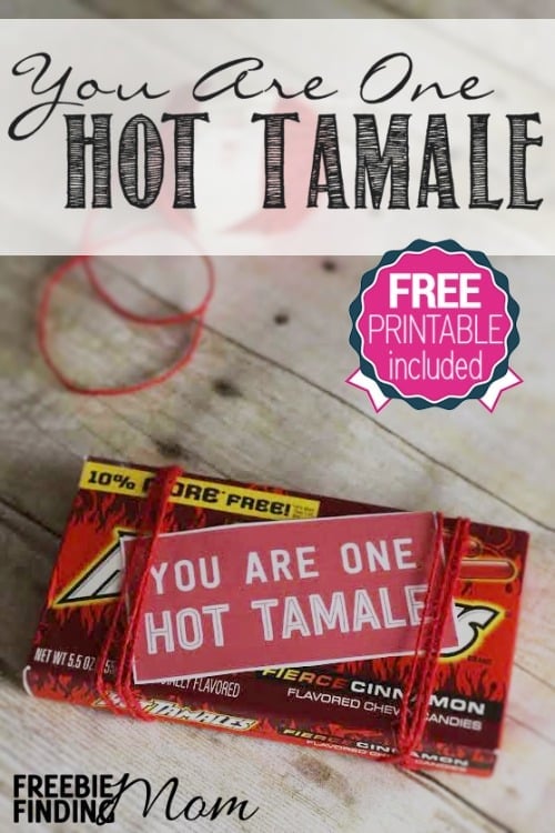 You Are One Hot Tamale DIY Valentine's Day Gift - Need an easy, cheap and fun DIY Valentine's Day gift idea? How about reminding your sweetie how "hot" they are by giving them this You Are One Hot Tamale Valentine's Day DIY Gift? Simply grab a box of hot tamales and attach the free printable gift tag provided. Voila! You have an easy peasy homemade Valentine's Day gift that is guaranteed to make your sweetie smile.