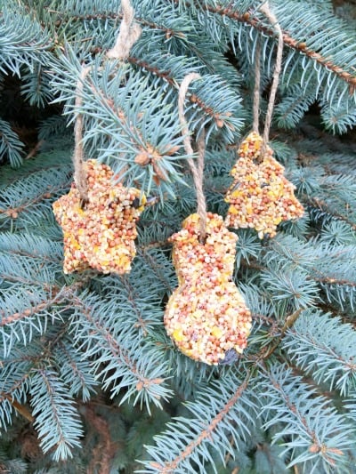 Homemade Bird Feeders Cookie Cutter Bird Feeders