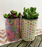 DIY Tin Can Planters: Decoupage Tin Can Planters