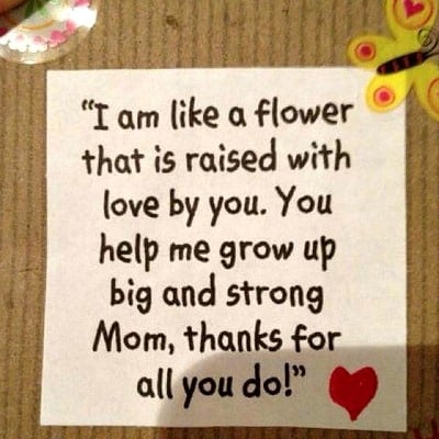 Mothers Day Poems and Quotes