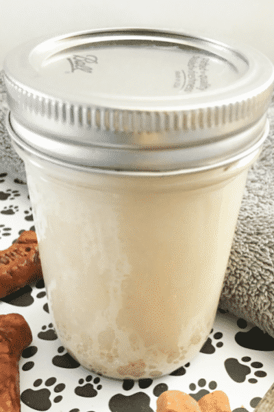 best dog shampoo DIY