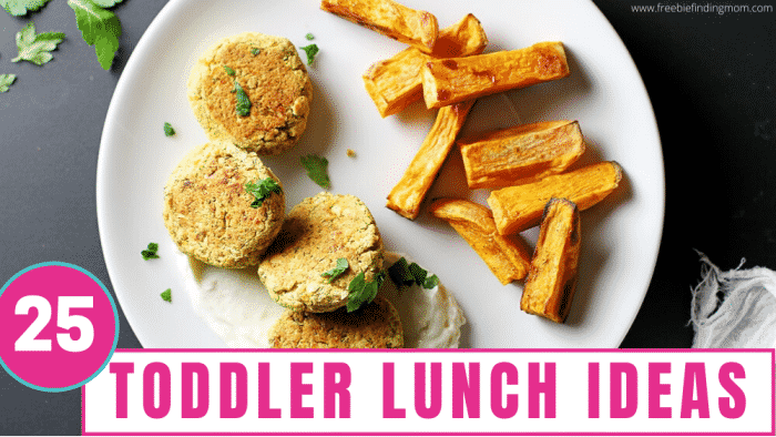 This list of toddler lunch ideas contains 25 recipes that are easy, healthy, and picky eater approved.