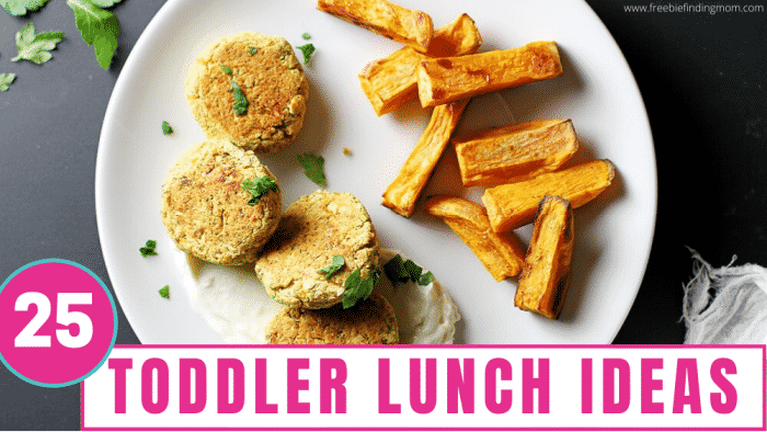 Easy to pack lunches for toddlers and preschoolers • Really, Are You  Serious?