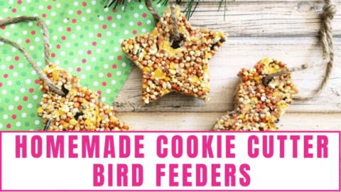 Homemade Cookie Cutter Bird Feeders - Freebie Finding Mom