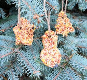 Homemade Cookie Cutter Bird Feeders - Freebie Finding Mom