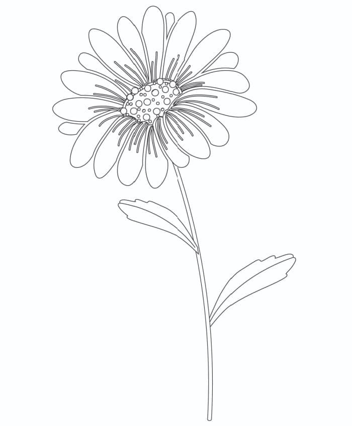 3 Free Printable Sunflower Pattern Templates Freebie Finding Mom