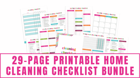 2 Daily Cleaning Schedule Printables
