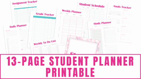 Printable Class Schedule Template (PDF Download)