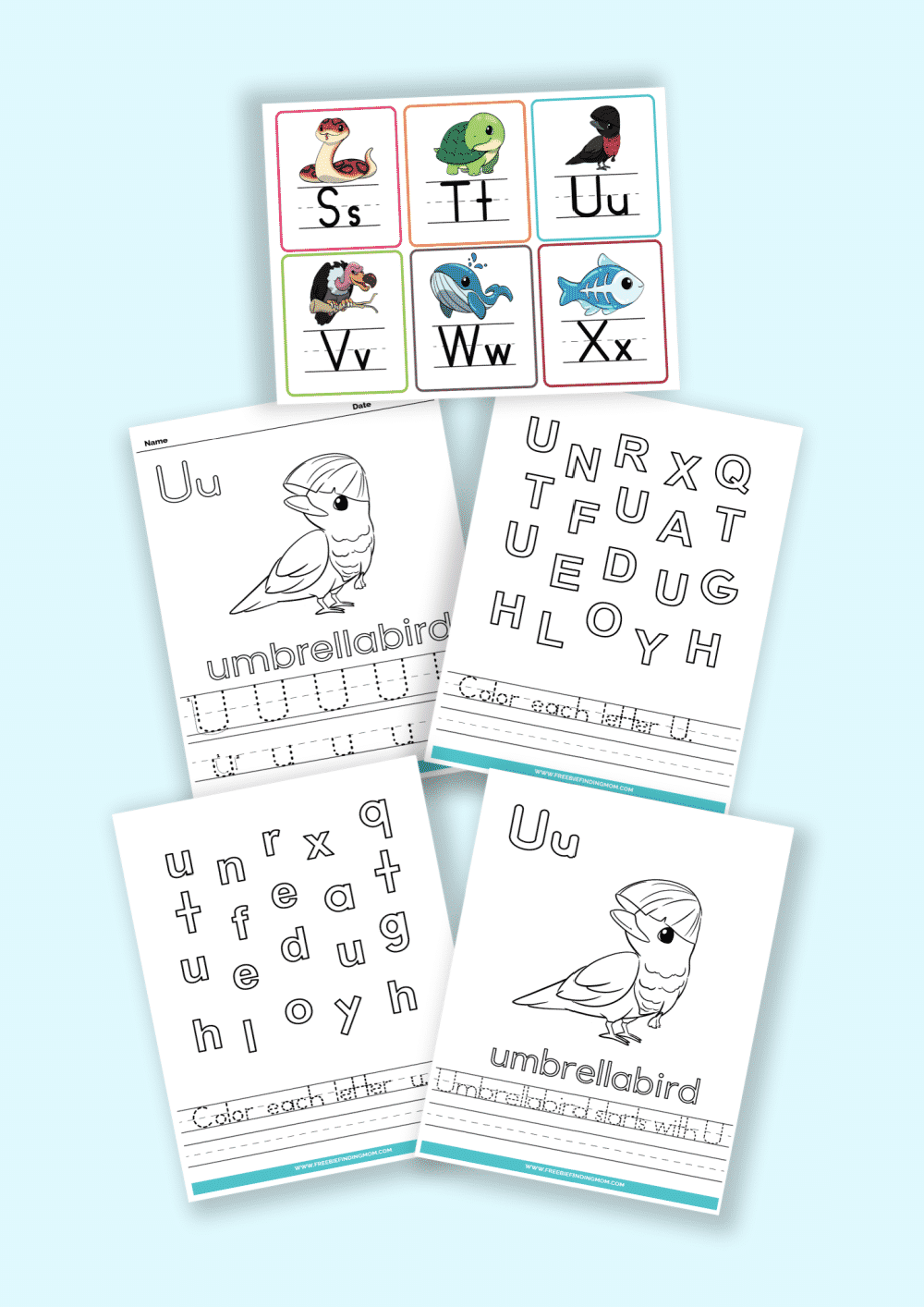 Letters of the Alphabet Printable Worksheets: Words that