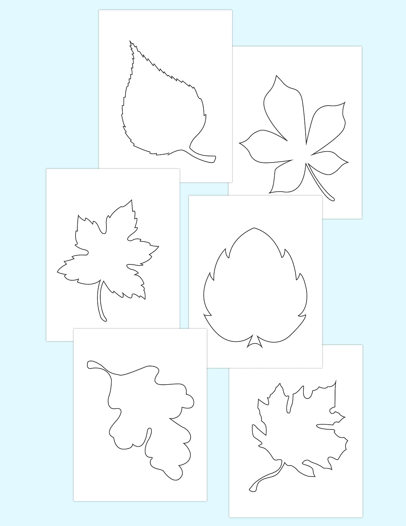 6 Free Fall Leaf Template Printables 6 Free Fall Leaf Template Printables