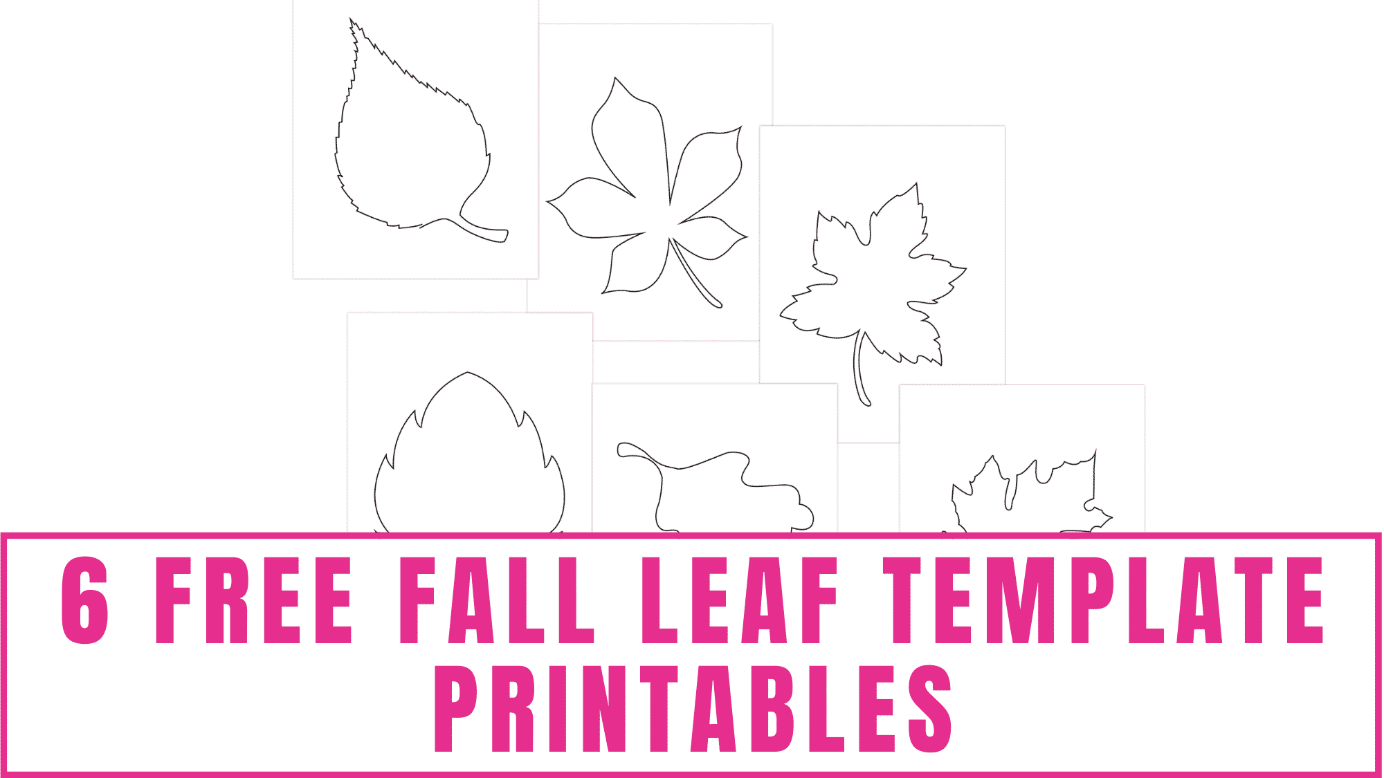 Leaf Templates Free Printable Templates Coloring Pages Firstpalette Com 