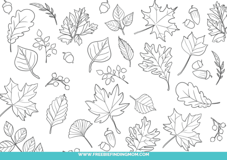 4 Free Printable Fall Leaves Coloring Pages