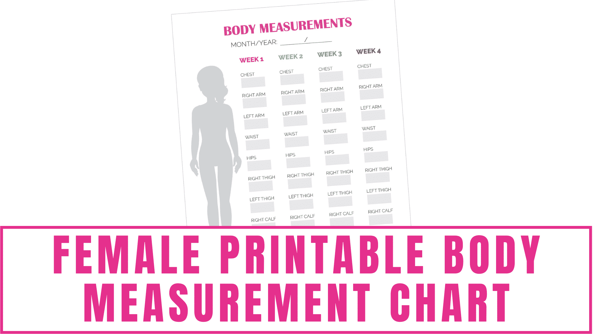 Female Printable Body Measurement Chart Freebie Finding Mom 