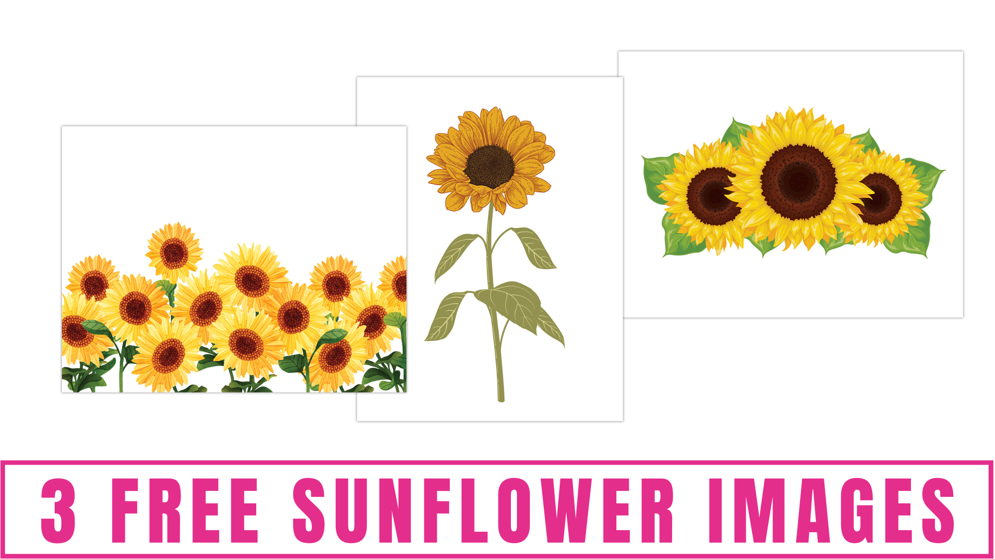 3 Free Printable Large Flower Stencils for Painting