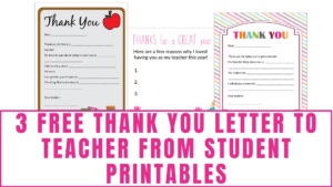 Free Thank You Letter to Teacher from Student Printables