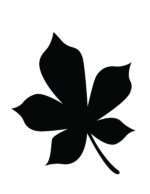 6 Free Fall Leaf Stencils (Printable PDFs)
