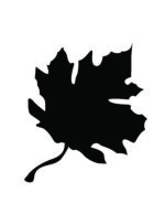 6 Free Fall Leaf Stencils (Printable PDFs)