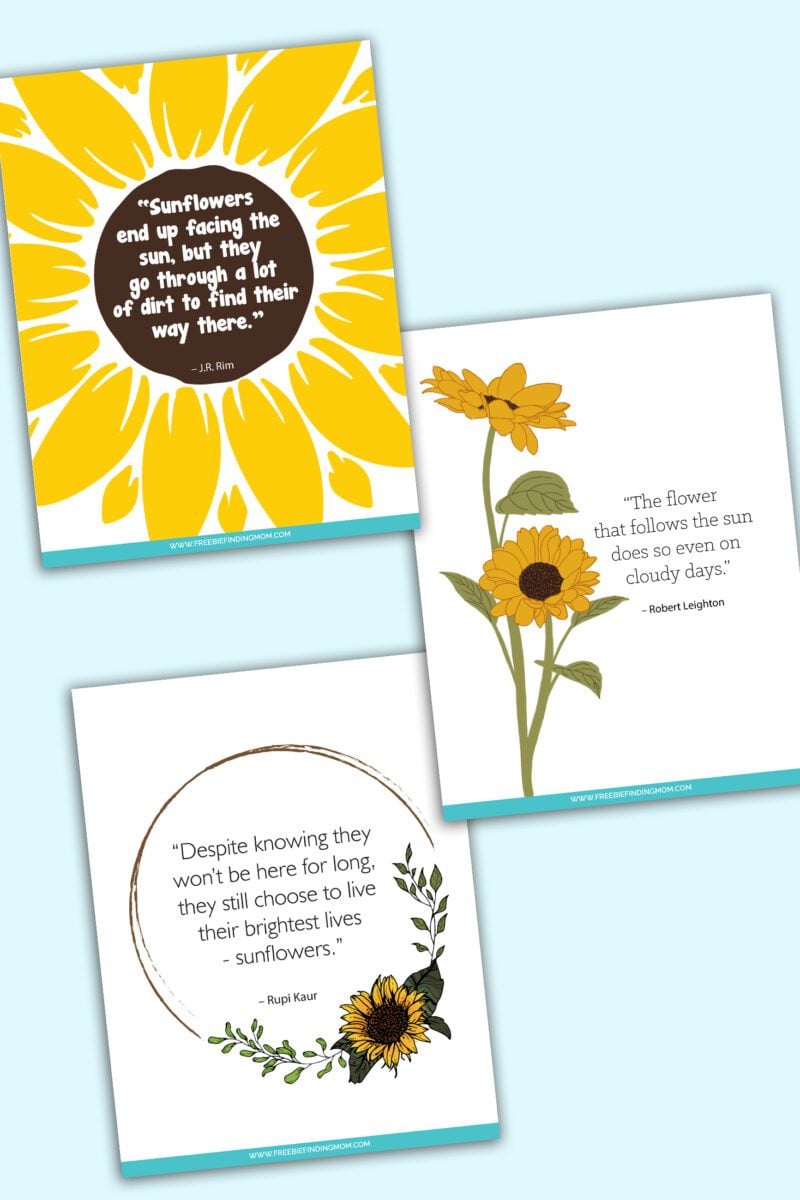 Freebies Freebie Finding Mom Freebies freebie finding mom