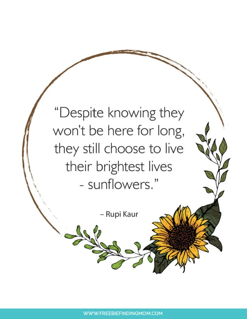 These free printable inspirational sunflower quotes about life remind us to live our best life.
