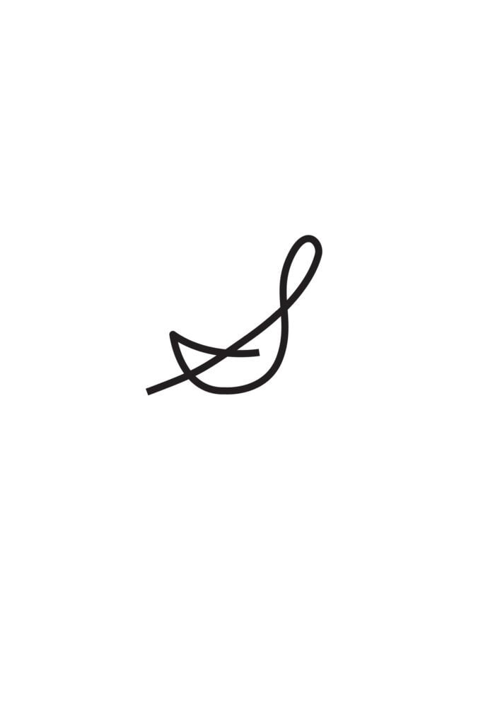 Capital Cursive S