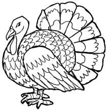 turkey to color