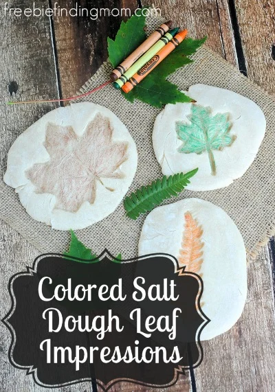 colored salt dough leaf impressions