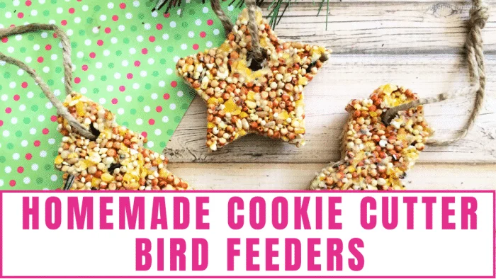 homemade cookie cutter bird feeders