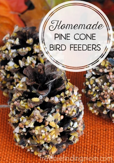 homemade pine cone bird feeders