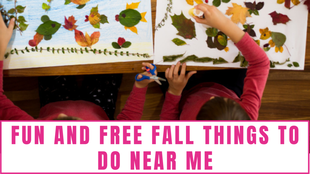 fun free fall things to do near me